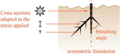 Root Systems Research for Bioinspired Resilient Design: A Concept Framework for Foundation and Coastal Engineering